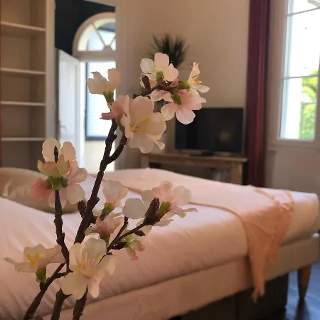 Appartement Paisible Avec Jardin - Centre Tours